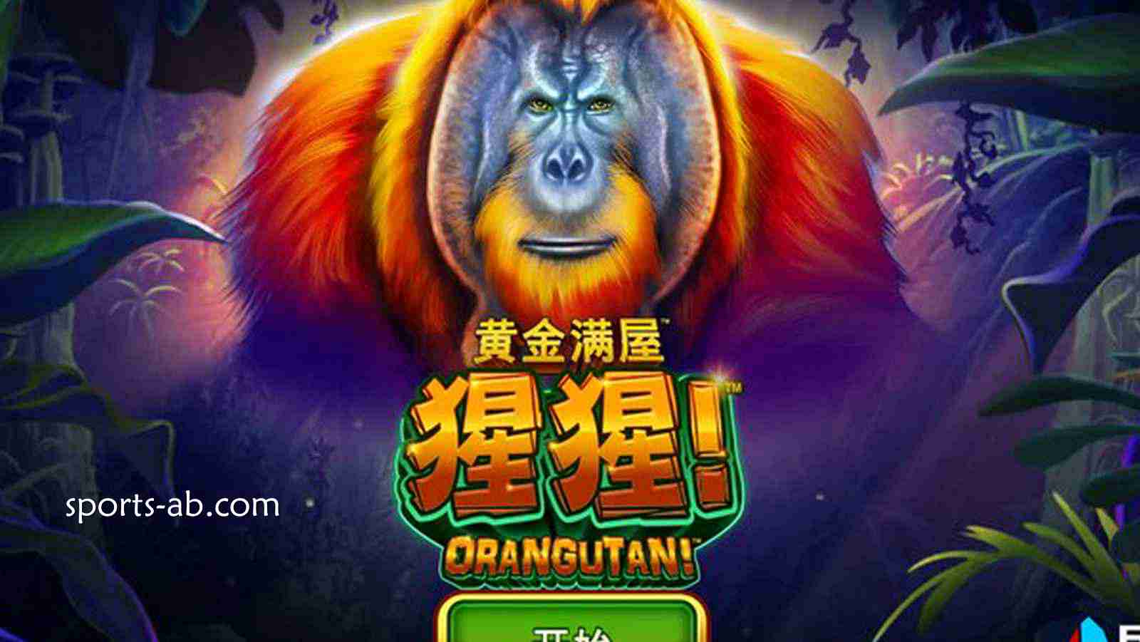 金光耀眼，福运齐天！年度殿堂级财富策略巨作《黄金满屋》震撼开门迎客！