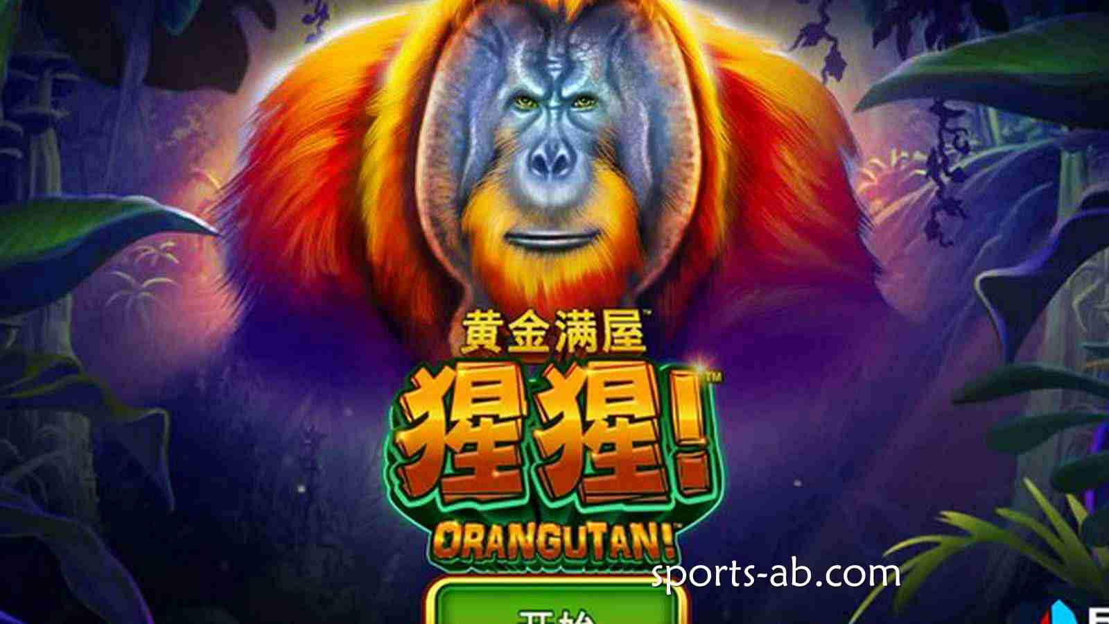 金光耀眼，福运齐天！年度殿堂级财富策略巨作《黄金满屋》震撼开门迎客！